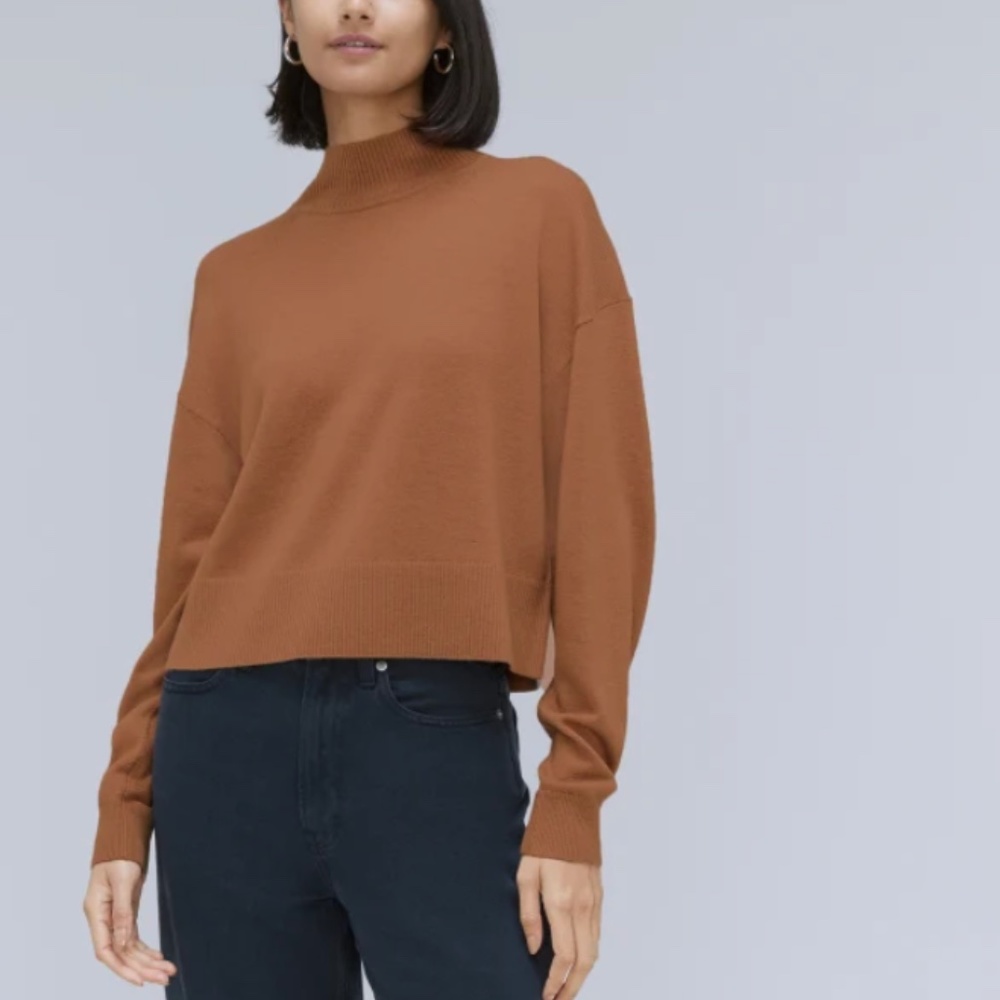 NWT Everlane The Luxe Merino Turtleneck Small